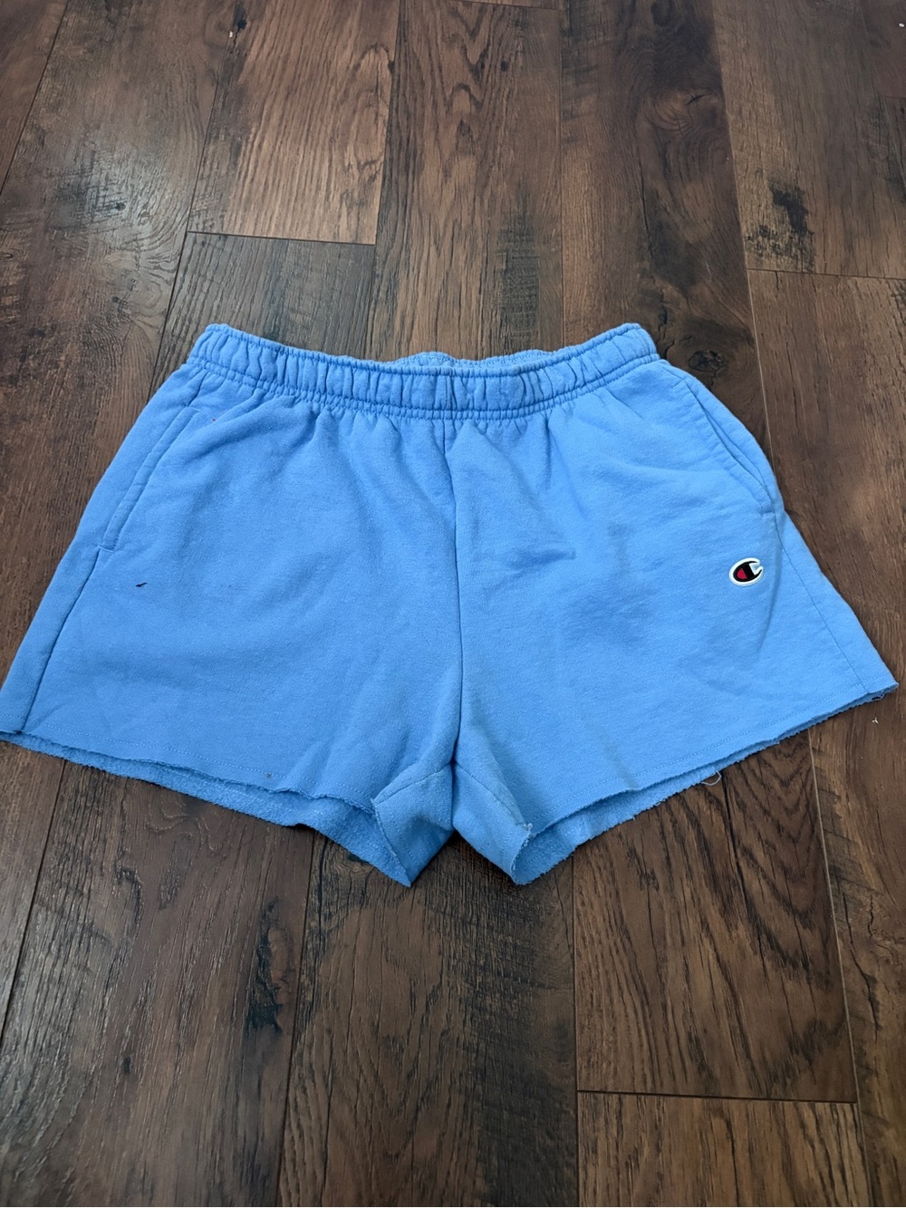 Champion Light Blue Fleece Sweatshorts